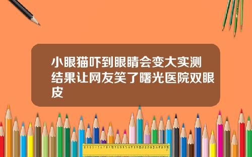 小眼猫吓到眼睛会变大实测结果让网友笑了曙光医院双眼皮