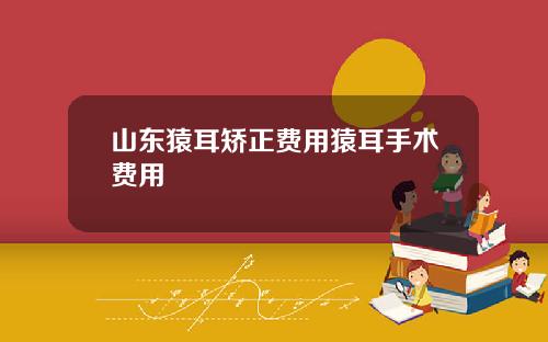 山东猿耳矫正费用猿耳手术费用