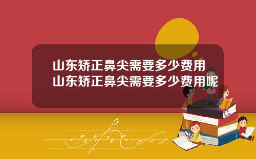 山东矫正鼻尖需要多少费用山东矫正鼻尖需要多少费用呢
