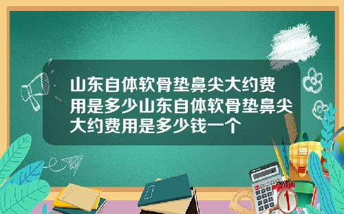 山东自体软骨垫鼻尖大约费用是多少山东自体软骨垫鼻尖大约费用是多少钱一个