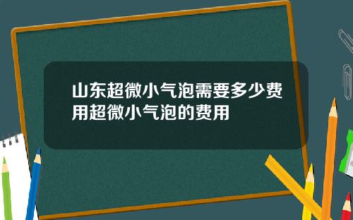 山东超微小气泡需要多少费用超微小气泡的费用
