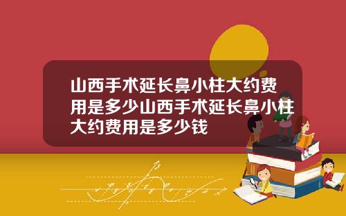 山西手术延长鼻小柱大约费用是多少山西手术延长鼻小柱大约费用是多少钱