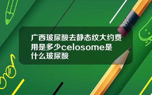广西玻尿酸去静态纹大约费用是多少celosome是什么玻尿酸