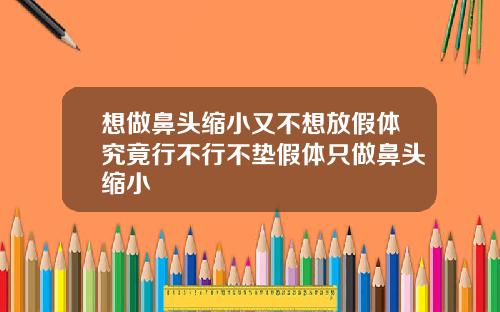 想做鼻头缩小又不想放假体究竟行不行不垫假体只做鼻头缩小