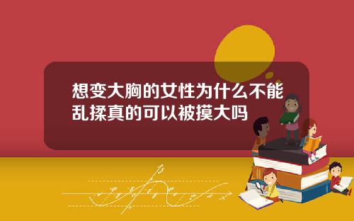 想变大胸的女性为什么不能乱揉真的可以被摸大吗
