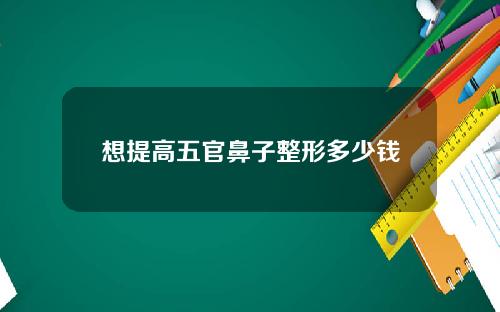 想提高五官鼻子整形多少钱