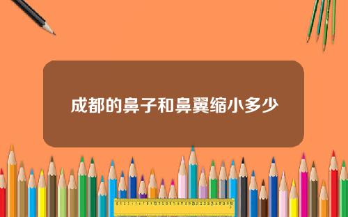 成都的鼻子和鼻翼缩小多少