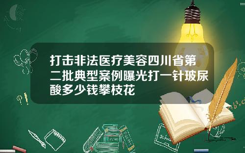 打击非法医疗美容四川省第二批典型案例曝光打一针玻尿酸多少钱攀枝花