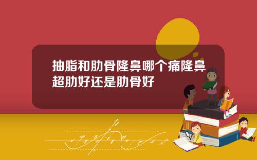 抽脂和肋骨隆鼻哪个痛隆鼻超肋好还是肋骨好