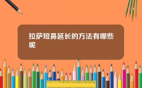 拉萨短鼻延长的方法有哪些呢