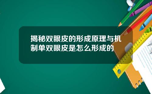 揭秘双眼皮的形成原理与机制单双眼皮是怎么形成的