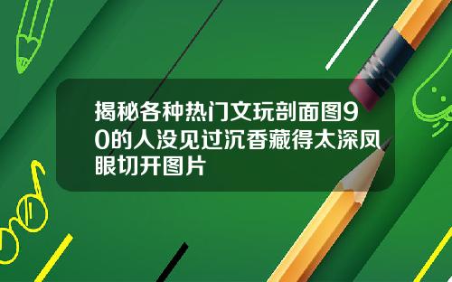 揭秘各种热门文玩剖面图90的人没见过沉香藏得太深凤眼切开图片