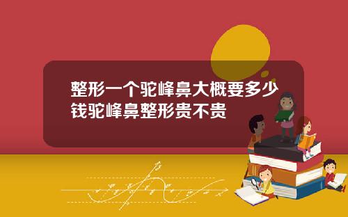 整形一个驼峰鼻大概要多少钱驼峰鼻整形贵不贵