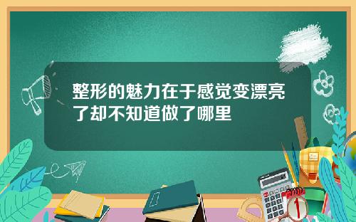 整形的魅力在于感觉变漂亮了却不知道做了哪里