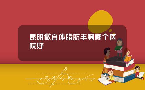 昆明做自体脂肪丰胸哪个医院好