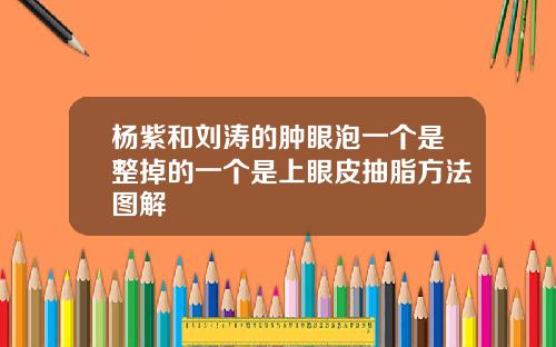 杨紫和刘涛的肿眼泡一个是整掉的一个是上眼皮抽脂方法图解