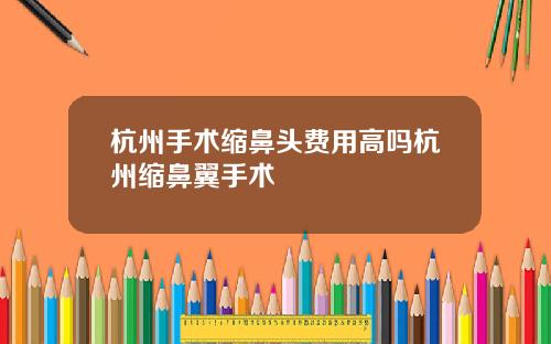 杭州手术缩鼻头费用高吗杭州缩鼻翼手术