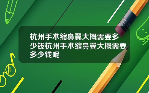 杭州手术缩鼻翼大概需要多少钱杭州手术缩鼻翼大概需要多少钱呢
