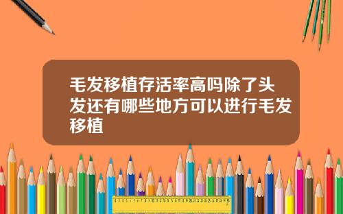 毛发移植存活率高吗除了头发还有哪些地方可以进行毛发移植