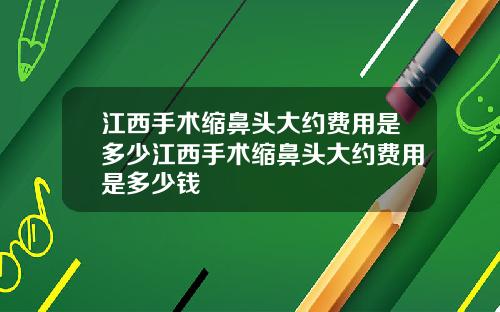 江西手术缩鼻头大约费用是多少江西手术缩鼻头大约费用是多少钱