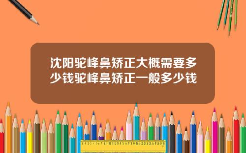 沈阳驼峰鼻矫正大概需要多少钱驼峰鼻矫正一般多少钱