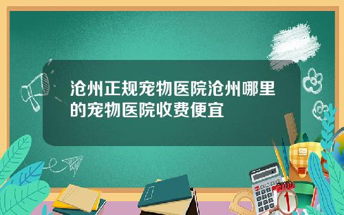 沧州正规宠物医院沧州哪里的宠物医院收费便宜