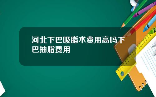河北下巴吸脂术费用高吗下巴抽脂费用