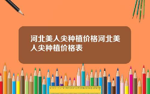 河北美人尖种植价格河北美人尖种植价格表