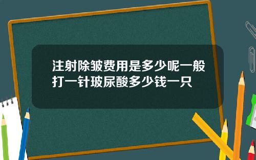 注射除皱费用是多少呢一般打一针玻尿酸多少钱一只