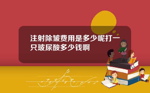 注射除皱费用是多少呢打一只玻尿酸多少钱啊