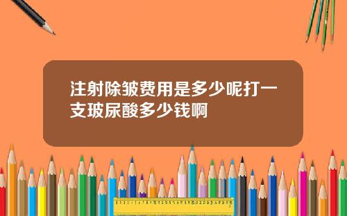 注射除皱费用是多少呢打一支玻尿酸多少钱啊