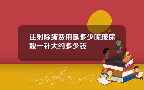 注射除皱费用是多少呢玻尿酸一针大约多少钱