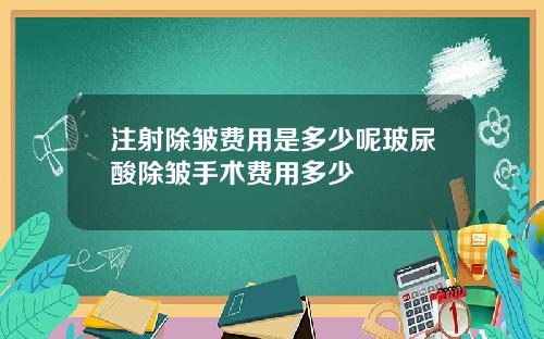 注射除皱费用是多少呢玻尿酸除皱手术费用多少