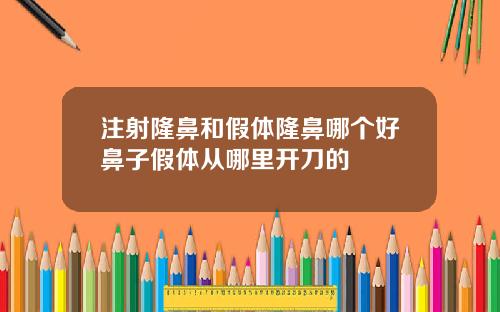 注射隆鼻和假体隆鼻哪个好鼻子假体从哪里开刀的
