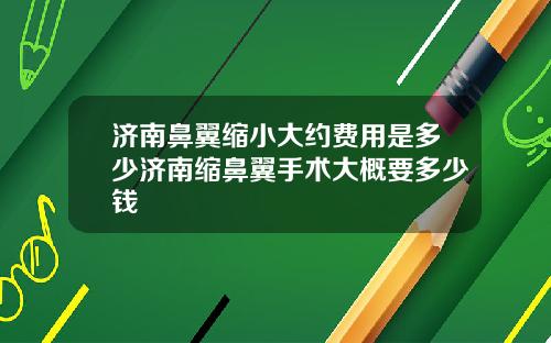 济南鼻翼缩小大约费用是多少济南缩鼻翼手术大概要多少钱