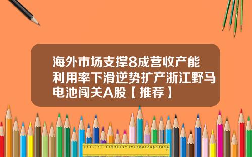 海外市场支撑8成营收产能利用率下滑逆势扩产浙江野马电池闯关A股【推荐】