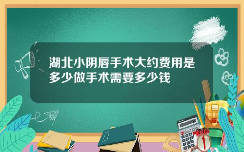 湖北小阴唇手术大约费用是多少做手术需要多少钱