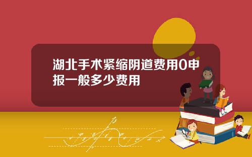 湖北手术紧缩阴道费用0申报一般多少费用