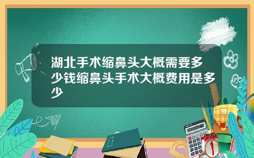 湖北手术缩鼻头大概需要多少钱缩鼻头手术大概费用是多少