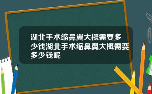 湖北手术缩鼻翼大概需要多少钱湖北手术缩鼻翼大概需要多少钱呢