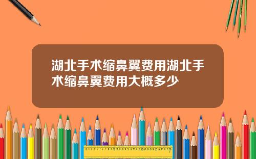 湖北手术缩鼻翼费用湖北手术缩鼻翼费用大概多少