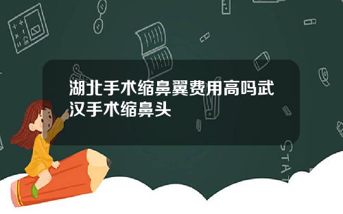 湖北手术缩鼻翼费用高吗武汉手术缩鼻头