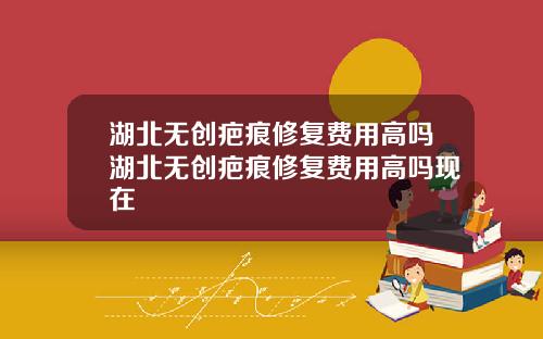 湖北无创疤痕修复费用高吗湖北无创疤痕修复费用高吗现在
