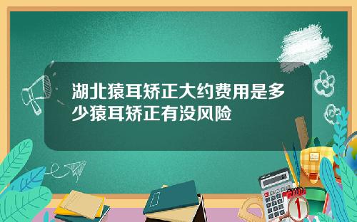 湖北猿耳矫正大约费用是多少猿耳矫正有没风险