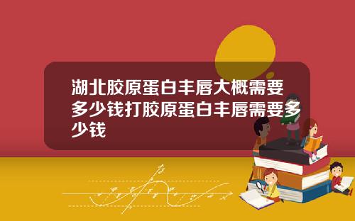 湖北胶原蛋白丰唇大概需要多少钱打胶原蛋白丰唇需要多少钱