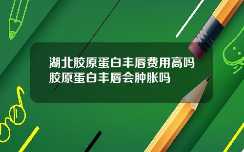 湖北胶原蛋白丰唇费用高吗胶原蛋白丰唇会肿胀吗