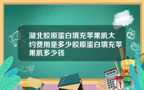 湖北胶原蛋白填充苹果肌大约费用是多少胶原蛋白填充苹果肌多少钱