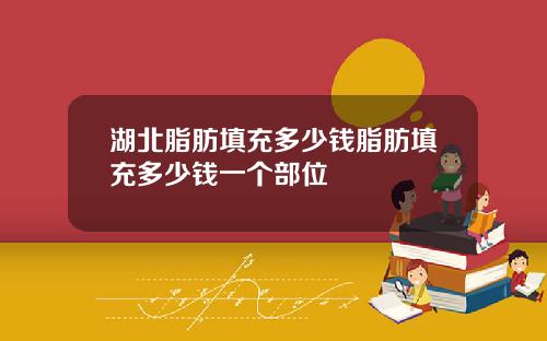 湖北脂肪填充多少钱脂肪填充多少钱一个部位