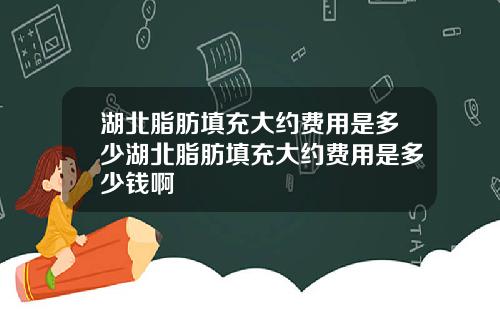 湖北脂肪填充大约费用是多少湖北脂肪填充大约费用是多少钱啊