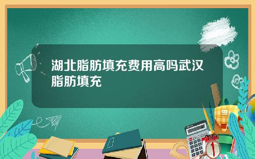 湖北脂肪填充费用高吗武汉脂肪填充